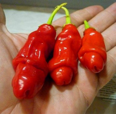 200 PCS Peter Pepper Seeds