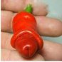 200 PCS Peter Pepper Seeds