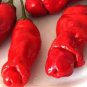200 PCS Peter Pepper Seeds