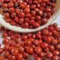 100 Pcs Indian Sandalwood Tree Seeds