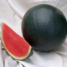 50 PCS Seeds Heirloom Sweet Black Skin Red Round Seedless Water Melon