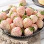 200 pcs Strawberry Seeds Pineberry Seeds Sweet Heirloom Rare Seeds