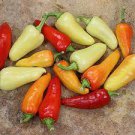 300 PCS Mixed Hot Pickled Pepper Seeds