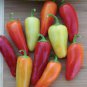 300 PCS Mixed Hot Pickled Pepper Seeds