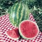 20 PCS Watermelon Seedless Pinkish Red Melon Seeds