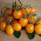 100 PCS Imported Rare Lamp-shaped Russian Heirloom Big Orange Tomato Organic Seeds 100 PCS Imported Rare Lamp-shaped Russian Heirloom Big Orange Tomato Organic Seeds