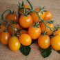 100 PCS Imported Rare Lamp-shaped Russian Heirloom Big Orange Tomato Organic Seeds