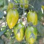 300 PCS Green Cherry Tomato 'Saintess' Organic Seeds