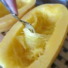 30 PCS Heirloom Spaghetti Squash Vegetable Seeds 30 PCS Heirloom Spaghetti Squash Vegetable Seeds