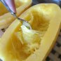 30 PCS Heirloom Spaghetti Squash Vegetable Seeds