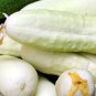 85 PCS Heirloom White Crisp Long Cucumber F1 Seeds