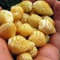 200 PCS Seeds Sweet Yellow Alpine Strawberry Seed Non-gmo Organic Fruit