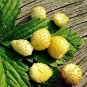 200 PCS Seeds Sweet Yellow Alpine Strawberry Seed Non-gmo Organic Fruit