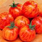 300 PCS Red Tomato with Yellow Strip F1 Seeds