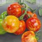 300 PCS Red Tomato with Yellow Strip F1 Seeds