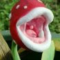 100 PCS Hot Sale Insect-Catching Plant Enchantress Carnivorous Bonsai Seeds