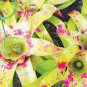200 pcs Rare Mini Bonsai Bromeliad palnts Seeds