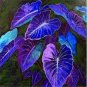 200 pcs Blue Caladium Dwarf Elephant Ear Ornamental Plant Seeds