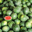 50 PCS Watermelon seeds