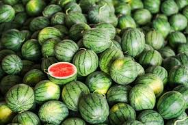 50 PCS Watermelon seeds