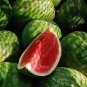 50 PCS Watermelon seeds