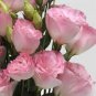 30 PCS SEEDS PURPLE SHADES MIX LISIANTHUS FLOWER