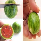 20 PCS Red Mini Thumb Watermelon Seeds 20 PCS Red Mini Thumb Watermelon Seeds