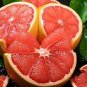 12 PCS Fu'jian Big Sweet Red Grapefruit Hybrid Seeds