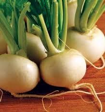 200 PCS Hakurei F1 Turnip Seeds