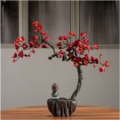 8 pcs Chinese Flower Wintersweet Seeds Fragrant Red Chimonanthus Praecox