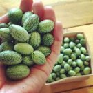 8 pcs New Rare Green Mini Thumb Organic Watermelon Seeds