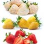 100 pcs Strawberry Cream White Yellow Green Giant Blue Red Berry Seed