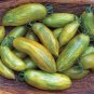 150 pcs 'Green Banana' Tomato Seeds