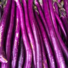 200 pcs Hangzhou Red Long Eggplant F1 Vegetable Seeds 200 pcs Hangzhou Red Long Eggplant F1 Vegetable Seeds