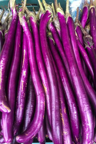 200 pcs Hangzhou Red Long Eggplant F1 Vegetable Seeds