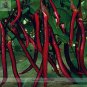 200 pcs Hangzhou Red Long Eggplant F1 Vegetable Seeds