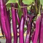 200 pcs Hangzhou Red Long Eggplant F1 Vegetable Seeds