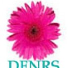 Day Skin Nutrition and Recovery System  (DFNRS)