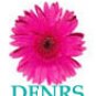 Day Skin Nutrition and Recovery System  (DFNRS)