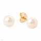 Earrings new