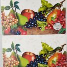 Set Of 2 Same Kitchen Vinyl Foam 12"X18" Fruits On White Placemats