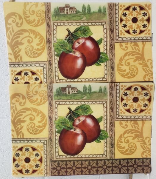 Set Of 2 Same Kitchen Plastic Semi Clear 12"X 18"Apples The Farm Placemats