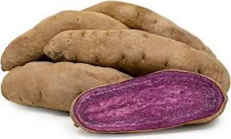 3 Stokes Sweet Potato Slips