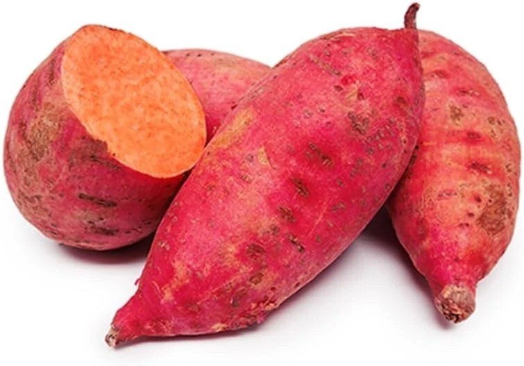 3 Slips Red Garnet Sweet Potato Slips