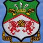 Wrexham 1980-81 Away Shirt