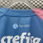 23-24 Palmeiras Pink Blue Special Edition Training shirts