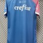 23-24 Palmeiras Pink Blue Special Edition Training shirts