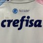 23-24 Palmeiras White Pink Blue Special Edition Training shirts