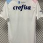 23-24 Palmeiras White Pink Blue Special Edition Training shirts