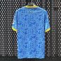 25/26 Wolverhampton Wanderers Wolves Third Soccer Jersey